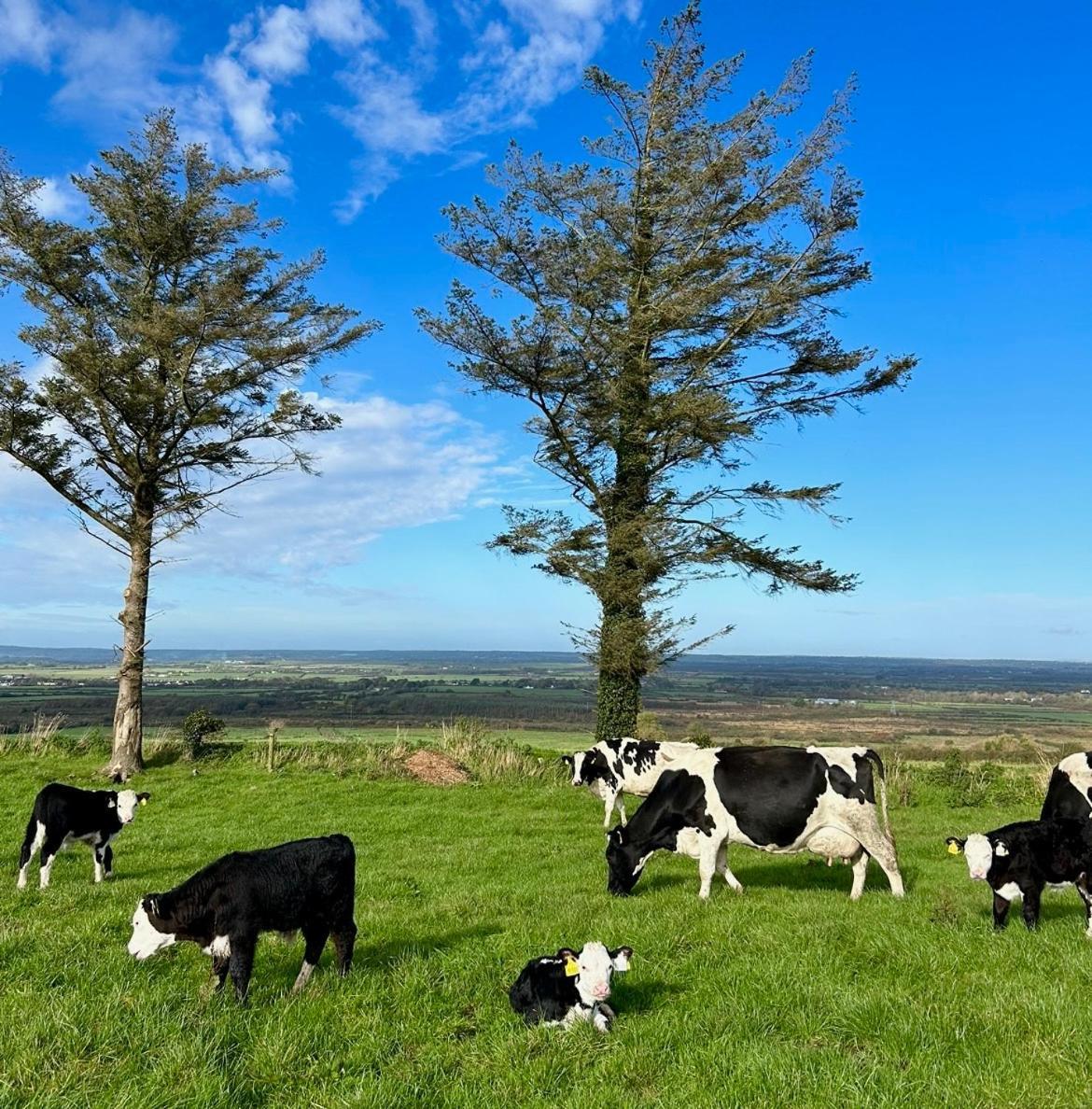 Breenville Farm House ترالي المظهر الخارجي الصورة